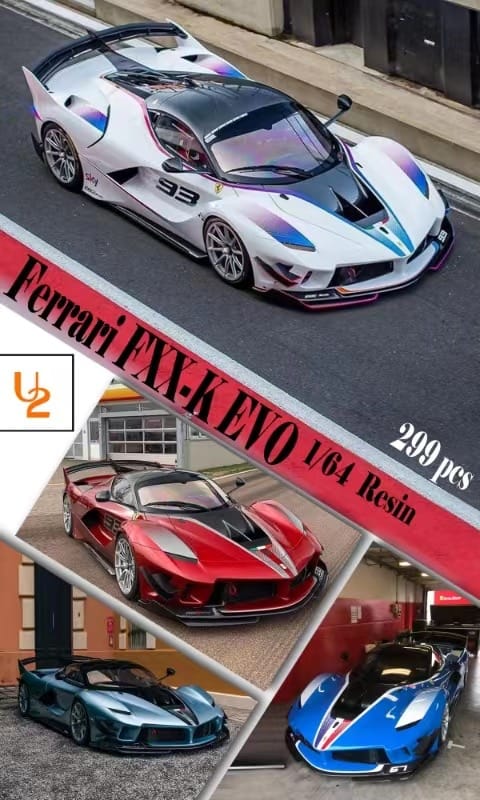 Preorder U2 Resin FXX-K EVO